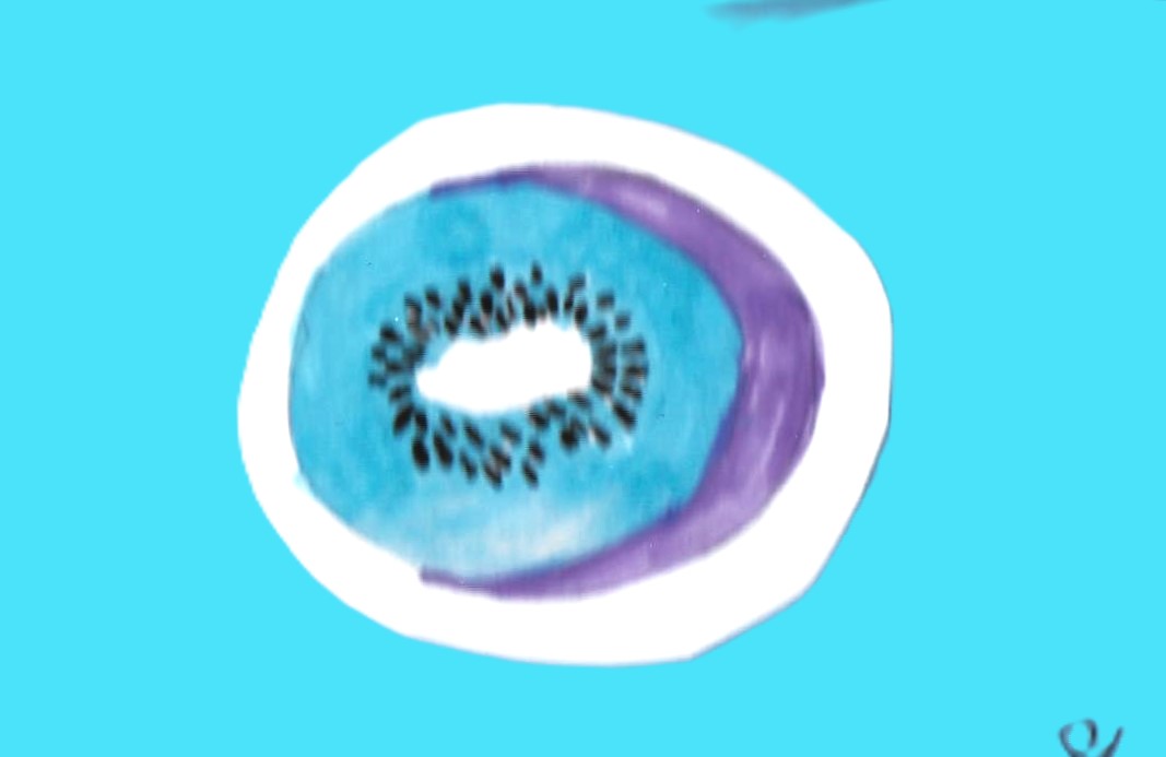 Kiwi_Pauline_2
